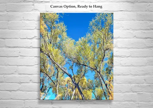 Vista 2 de San Pedro River Arizona Cottonwood Tree Autumn Forest Nature Print