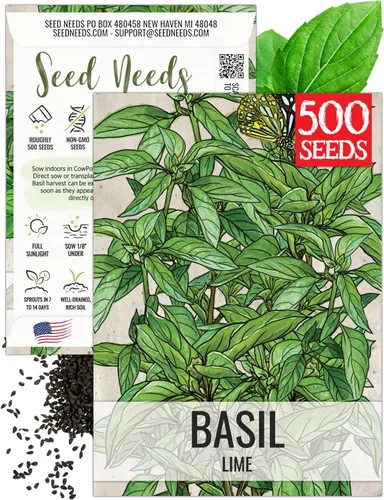 Vista 24 de Seed Needs Semillas de albahaca italiana para plantar hierbas tradicionales sin OMG, 1 paquete