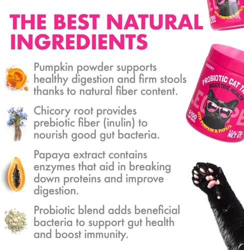 Vista 4 de LEGITPET Golosinas probióticas para gatos con prebióticos – Apoyo digestivo masticables suaves con calabaza y papaya – Apoya la salud intestinal