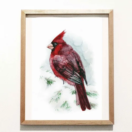 Vista 2 de Impresión cardenal roja 8x10 en acuarela arte pájaro sala de estar ilustración vivero. Bellas artes animales bosques impresiones bosque vida