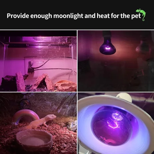 Vista 6 de Lámpara de calor nocturno de 100 W, bombilla de calentamiento de reptiles, luz de luna infrarroja, lámpara UVA para reptiles y anfibios, dragón