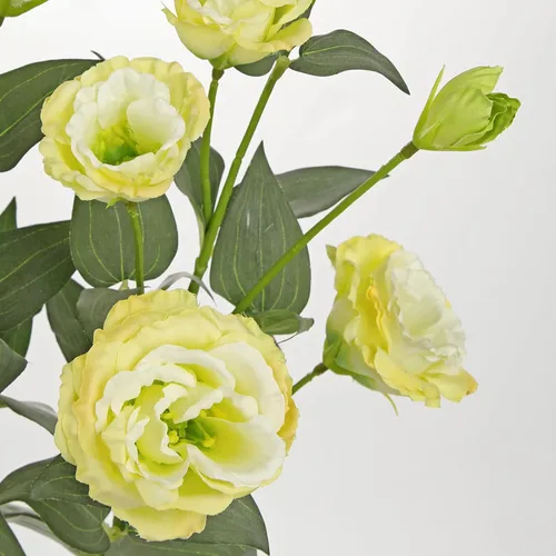 Vista 3 de Flores artificiales de seda de color blanco crema de 34.5 pulgadas, 3 piezas, flores de Eustoma Lisianthus con tallo largo, ramas de arreglo