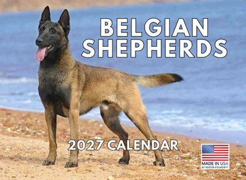Vista 90 de Calendario mensual de pared Airedale Terrier Dog 2027