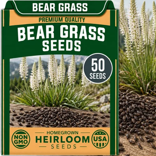Vista 67 de CZ Grain Semillas para plantar, 40 pequeñas mezclas de calabaza