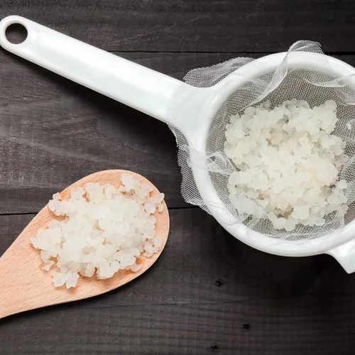 Vista 6 de Cultures for Health Un sinfín de granos de kéfir de agua dulce Bebida probiótica fermentada de bricolaje mejora la salud intestinal El iniciador