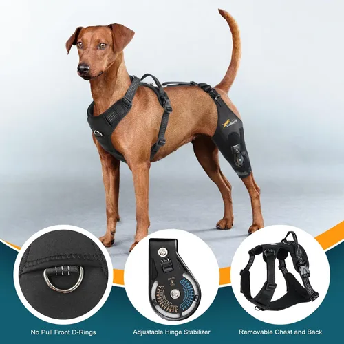 Vista 5 de Rodillera para perro para pierna trasera desgarrada, estabilizador de bisagra ajustable, pierna izquierda, L Dog back brace for Osteoarthritis