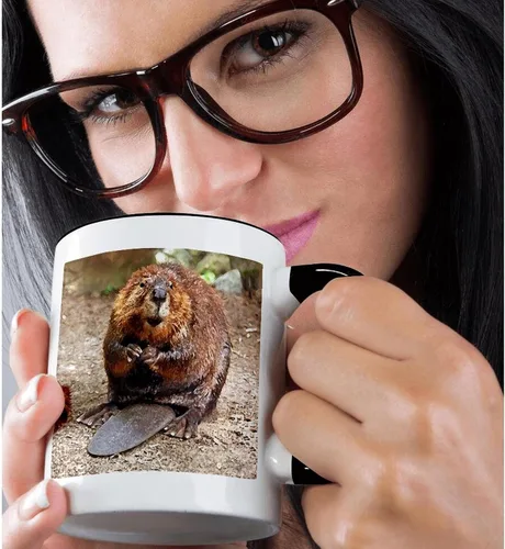 Vista 2 de 3dRose (mug_4660_4) Beaver - Taza negra de dos tonos, 11 onzas Blanco