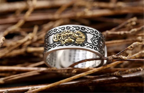 Vista 6 de ZUYOKI FENG Shui PIXIU MANI - Anillo de protección contra la riqueza, amuleto de Feng Shui, anillo ajustable abierto de la suerte, anillo de joyería