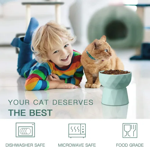 Vista 5 de Frewinky Cuencos para gatos, cuencos de cerámica para gatos antivómitos, juego de cuencos elevados para alimentos y agua para gatos y perros Verde