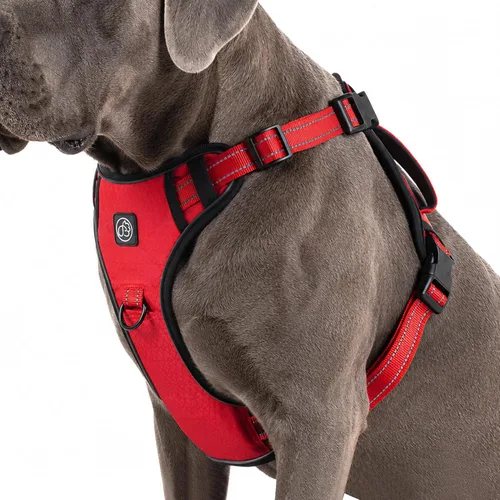 Vista 10 de EVERKING Arnés de chaleco sin tirones con asa, arnés ajustable impermeable con 4 hebillas, clip reflectante frontal y trasero para perros pequeños