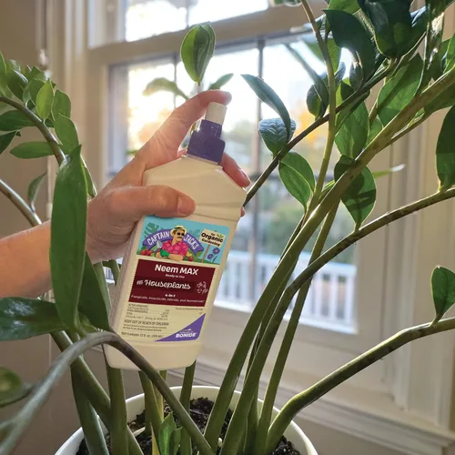 Vista 3 de Bonide Captain Jack's 12 oz Neem Max Aerosol listo para usar para plantas