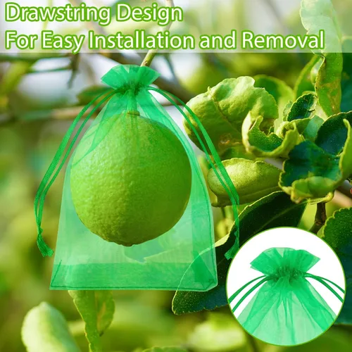 Vista 3 de Morcheiong 60 bolsas de protección de frutas de 6 x 8 pulgadas, bolsas reutilizables de red de frutas para árboles frutales, bolsas de malla de red