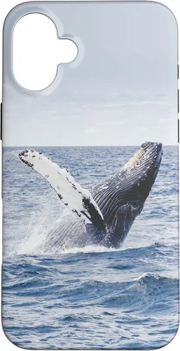 Vista 23 de Whale Case for iPhone 17