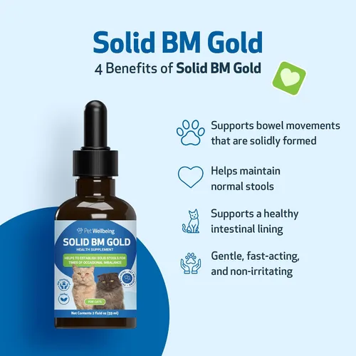 Vista 4 de Pet Wellbeing Solid BM Gold para gatos – Apoya la función digestiva saludable, heces sólidas, movimientos intestinales normales, bayberry