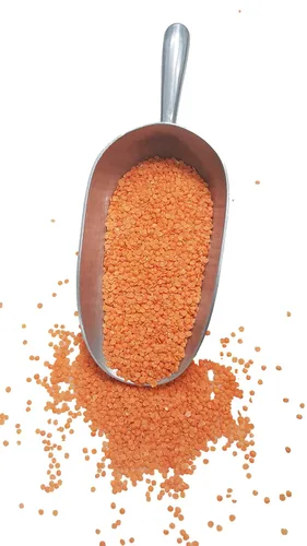 Vista 5 de Lentejas orgánicas rojas divididas, también conocidas como Masoor Dal, bajas calorías ricas en hierro y proteínas, sin OMG, veganas a granel, 1 libra