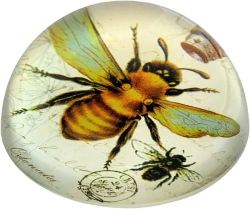 Vista 2 de Value Arts Pisapapeles de abeja imperial, cúpula de cristal, caja de regalo, 3 pulgadas de diámetro