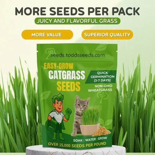 Vista 9 de Todd's Seeds – Hierba para gatos de interior o exterior, 1 libra de hierba de trigo – Premium, 100% libre de químicos (mejor que orgánico) sin GMO