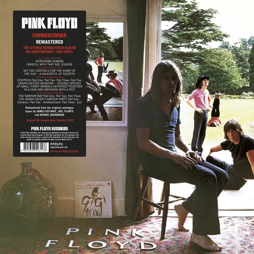 Vista 2 de Ummagumma 2016 Version