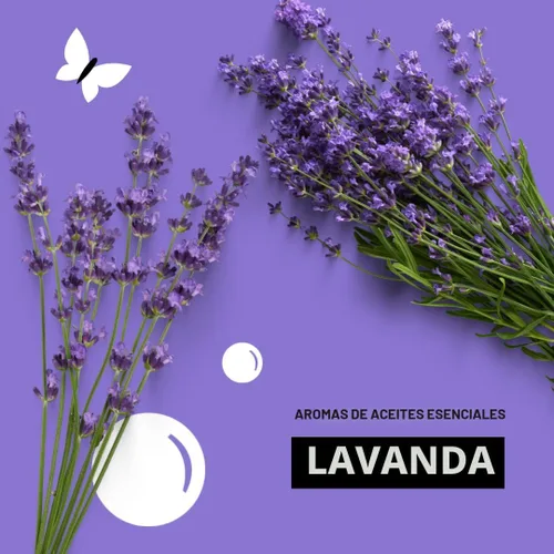 Vista 6 de Hojas suavizantes de secadora para piel sensible de Molly's Suds Reductor de estática a base de plantas, envase sin plástico Lavanda (120 hojas)