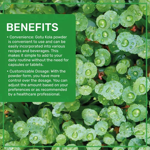 Vista 4 de Jiva Organics Gotu Kola Powder (Centella Asiatica) 7 onzas (7.05 oz) - Crudo, vegano, sin OMG