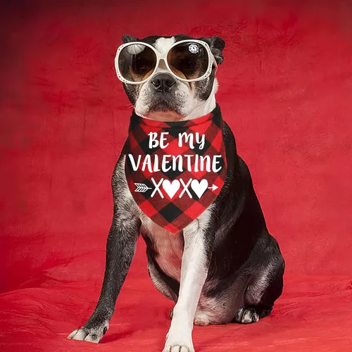 Vista 7 de Paquete de 2 bandanas para perro de San Valentín, bandanas para el día de San Valentín, bufanda, bandanas para el día de San Valentín, trajes