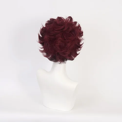 Vista 2 de Anime Demon Slayer Kimetsu No Yaiba Kamado Tanjirou Cosplay Peluca Hombres Mujeres Resistente al Calor Pelucas de Pelo Sintético Halloween