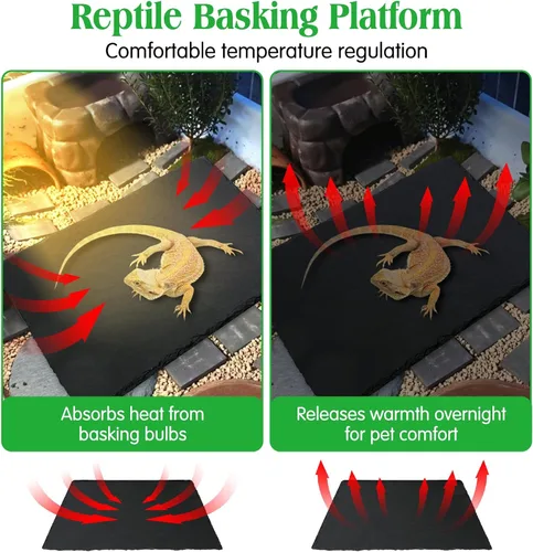 Vista 5 de Tfwadmx Plataforma para tomar el sol de reptiles, plato de alimentación de tortuga, cuenco de comida de reptiles de roca natural, decoración