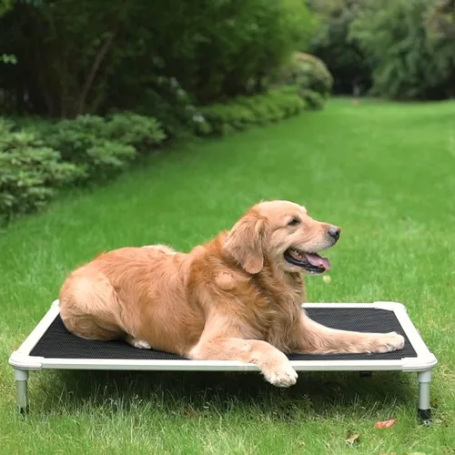 Vista 63 de Veehoo Cama elevada para perros a prueba de mordidas - Cuna elevada refrescante para mascotas - Marco de aluminio plateado y tela de malla