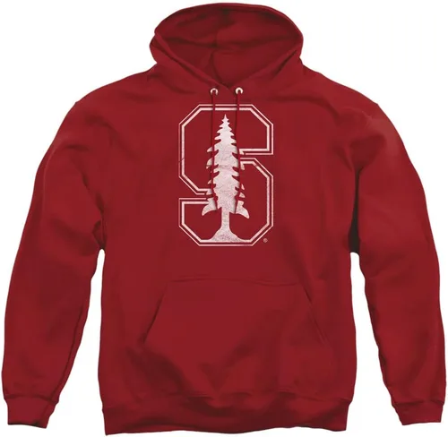 Vista 112 de Distressed College Primary Logo Adult Pullover Hoodie Collection 1 Universidad Estatal de Albany