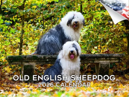 Vista 136 de Calendario de Lebrel Afgano 2025 2026, calendario mensual de pared de raza canina, 12" x 18" abierto, papel grueso sin traspaso, ideal para regalo
