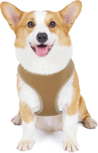 Vista 26 de MoNiBloom Arnés para perro de tamaño pequeño, chaleco acolchado suave para cachorros para caminar, correr, entrenar - negro, XS