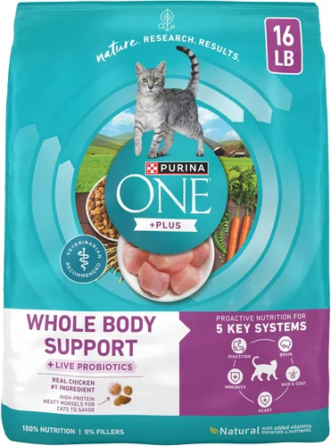 Vista 10 de Purina ONE Plus - Alimento seco para gatos con soporte para todo el cuerpo