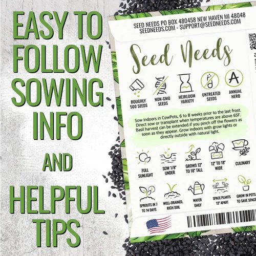 Vista 4 de Seed Needs Semillas de albahaca italiana para plantar hierbas tradicionales sin OMG, 1 paquete