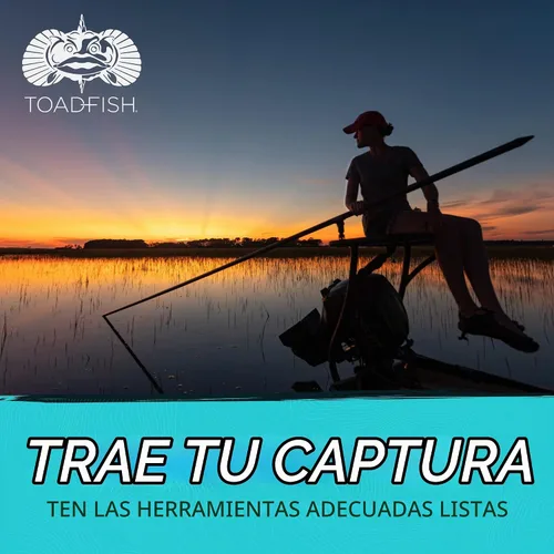 Vista 7 de Juego de herramientas para mariscos Toadfish Cangrejo y Langosta - 2 cascadores de concha con cortadores y 4 tenedores de uso múltiple - Agarres