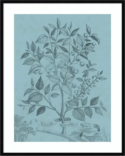 Vista 14 de Amanti Art Vision Studio - Póster enmarcado de 24 x 20 pulgadas, diseño botánico en V verde azulado por Vision Studio, arte de pared de naturaleza