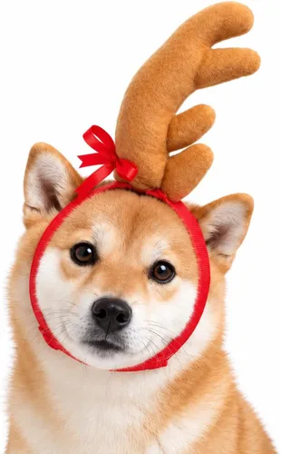 Vista 6 de ComfyCamper - Disfraz de reno con astas para perro de Halloween - Diadema cosplay de Navidad, talla pequeña, mediana, grande, extragrande para Marrón