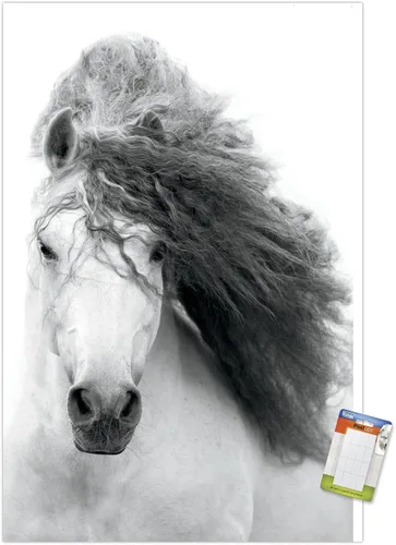 Vista 10 de Trends International Póster de pared de caballo en escala de grises, 14.725 x 22.375 pulgadas, versión enmarcada de madera de granero Versión