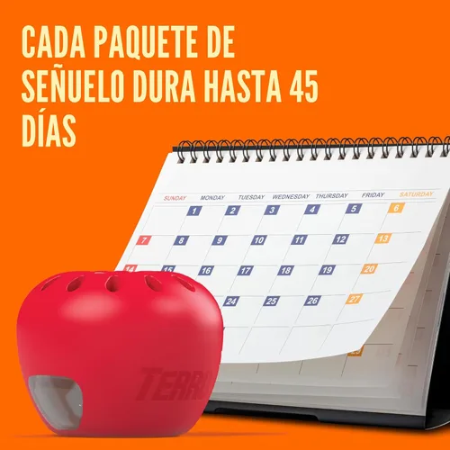 Vista 7 de Trampa para moscas de fruta Terro, paquete de 4