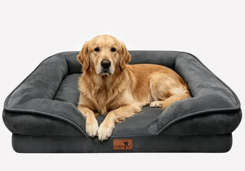 Vista 18 de Spotted Play Cama ortopédica para perros con lados, sofá cama para perros pequeños, sofá cama de espuma de apoyo para mascotas con funda extraíble