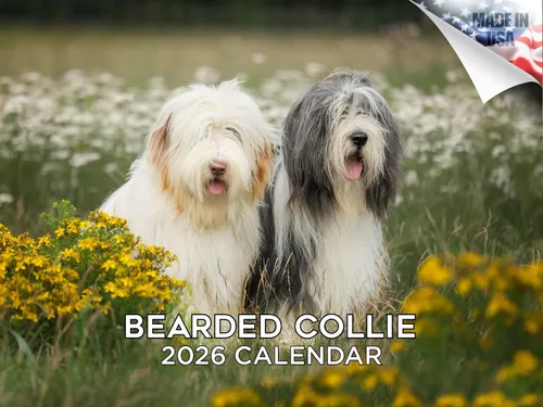 Vista 49 de Calendario de Lebrel Afgano 2025 2026, calendario mensual de pared de raza canina, 12" x 18" abierto, papel grueso sin traspaso, ideal para regalo