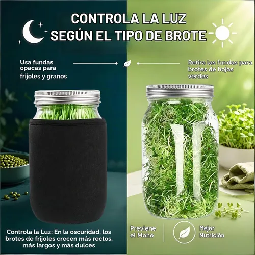 Vista 3 de Kit Premium de Frascos para Germinación 2 Piezas Frascos Mason Grandes de Boca Ancha Con Tapa de Malla para Brotes, Soporte para Frasco