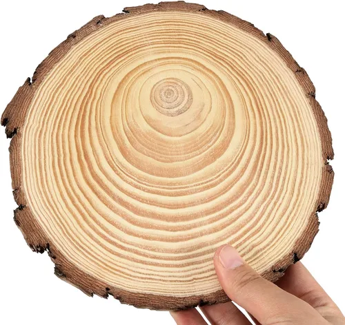 Vista 5 de JEUIHAU 6 piezas de rebanadas de madera natural sin terminar de 8 a 10 pulgadas, discos redondos de madera para corteza de árbol, círculos de madera