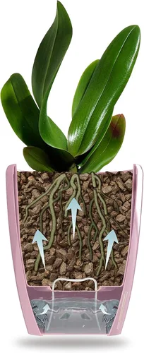 Vista 2 de DECOPOTS - Juego de 3 macetas de orquídeas de riego automático - Maceta absorbente para flores - Indicador de nivel de agua (juego de 3) - 4.9