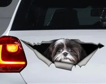 Vista 37 de Calcomanía roja de perro salchicha de pelo largo, calcomanía para mascotas, calcomanía de perro salchicha rojo, calcomanía de vinilo para perro