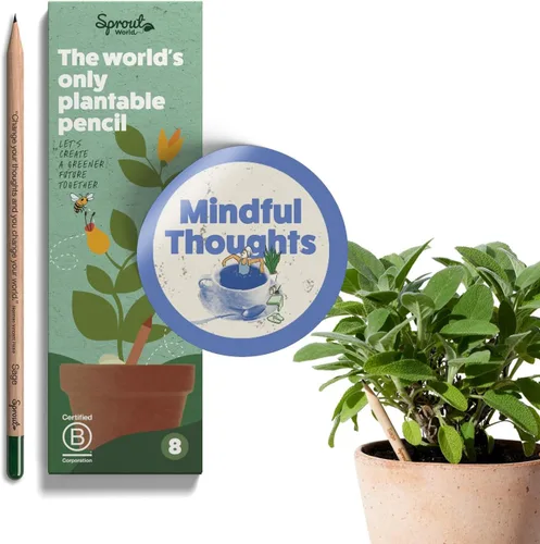 Vista 12 de Sprout Lápices de madera World Edición para profesores Lápices de madera plantables de grafito preafilados HB con semillas de flores, hierbas