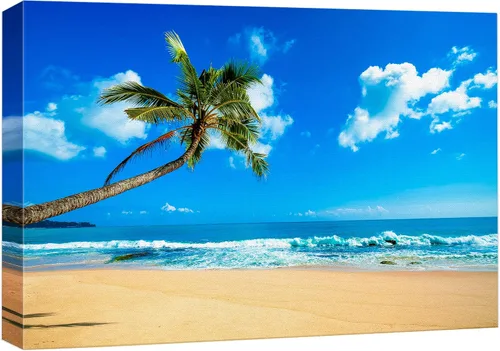 Vista 22 de wall26 - Lienzo decorativo para el hogar con aguas azules tropicales enmarcadas por palmeras, 12 x 18 pulgadas