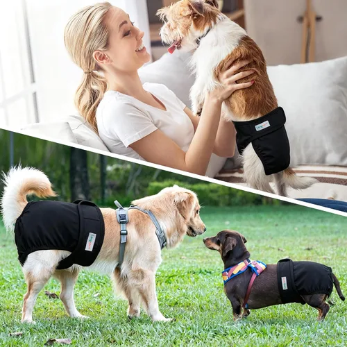 Vista 6 de Langsprit Pañales lavables para perro hembra (paquete de 3 unidades) - Sin fugas, reutilizables, para perritas en período, calzones altamente Negro