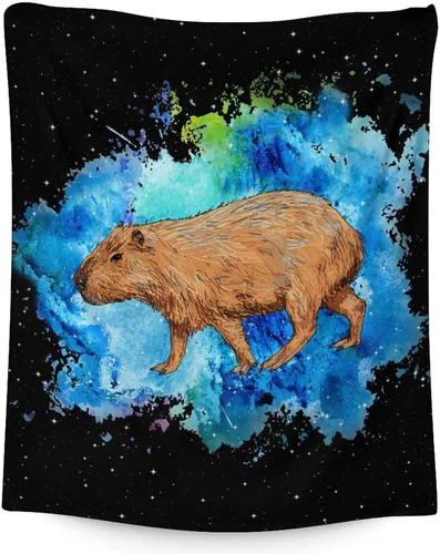 Vista 8 de Mantas temáticas de animales para niños, tamaño regazo de 30 x 40 pulgadas, manta de felpa suave y peluda para regalo, mantas negras para cama, sofá