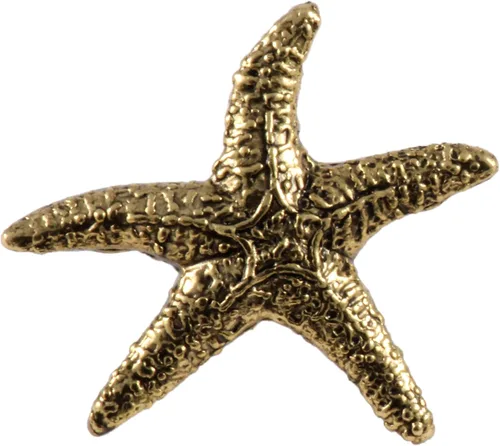 Vista 4 de Estrella de mar, Pez Estrella, Estrella de Mar, Playa, Océano, Estrellas quebradizas, Estrellas Canastas, Náutica, Solapa, Pines, Broche, Peltre