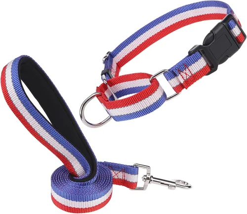 Vista 9 de Martingale - Juego de collar y correa para perro, para caminar, jugar, entrenar, collares reflectantes ajustables con correa para perros pequeños